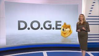 What is D.O.G.E, and how much power will it have?