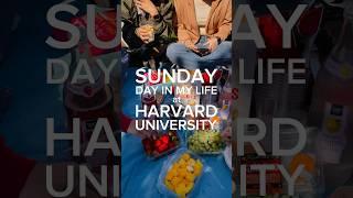 SUNDAY AT HARVARD UNIVERSITY #harvard #harvarduniversity #dayinmylife