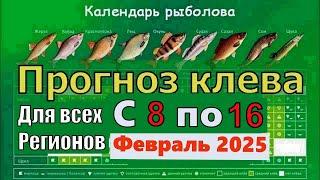 Прогноз клева рыбы на неделю с 8 февраля по 16 Февраля 2025 Лунный Календарь рыбака февраль 2025