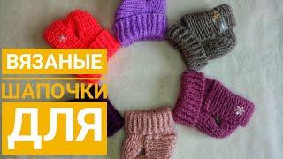 Шапочка для собак / МК как связать шапочку для собаки