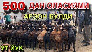 21 МАЯ КУЙ КУЗИ НАРХЛАРИ 2025.КАШКАДАРЁ ВИЛОЯТИ ЧИРОКЧИ МОЛ БОЗОРИ НАРХЛАРИ 2025.