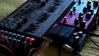 Roland MC-202 + Korg SQ-1 + Strymon DIG + blueSky + Boss BD-2