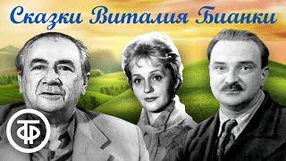 Сборник сказок Виталия Бианки. Читают Литвинов, Румянова, Невинный и др. / Аудиосказки (1950-80-е)