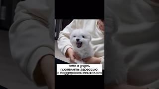 Взрывная сила злости: как превратить гнев в двигатель успеха!