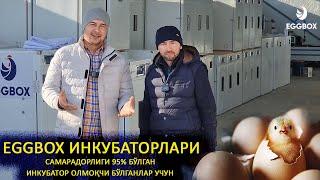 EGGBOX Корхонасида ясалган ИНКУБАТОРЛАР #INKUBATOR #EGGBOX #SARDORUZ