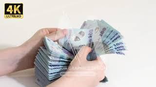 Woman counting cash Romanian currency Lei Ron