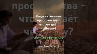 #квантоваяреальность #деньсурка #ченнелинг #мистика #повышениевибраций #психология #просветление