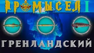 ГРЕНЛАНДСКИЙ ПРОМЫСЕЛ!" 1-Часть" МОЯ ИСТОРИЯ～|рр3 2022|～