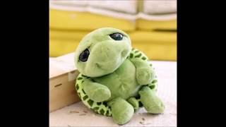 TOPSY TURTLE