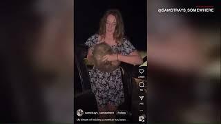 American influencer under fire for taking baby wombat from its mother