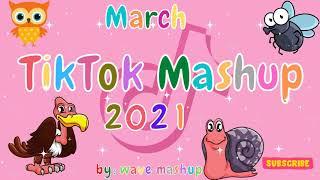 TikTok Mashup 2021 March Not Clean