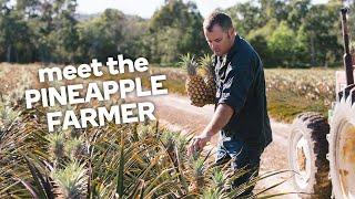 Meet the pineapple farmer - Fresh stories from the farm