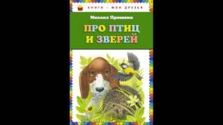 Разговор птиц и зверей   —Михаил Пришвин   —читает Павел Беседин