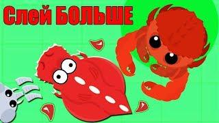 Эволюция животных в Мопио Невероятный Челлендж! Как сливать в mope.io