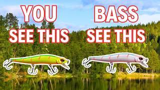 The Fishing Lure Colors Bass ACTUALLY See…