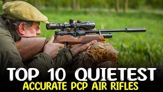 Top 10 Quietest Accurate Air Rifles - Best PCP Air Guns for Hunting