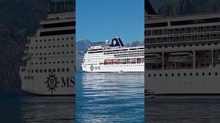 MSC cruise  #ship #cruise #cruiseship #msc #satisfying #funny #funnyvideo #youtubeshorts #summer