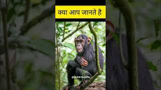 क्या आप जानते है #fact #facts #gk #trendingshorts #trending #animalfacts #shorts @shortsfacts78