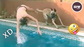 SI TE RÍES PIERDES NIVEL DIOS #200  VIDEOS DE RISA MUY GRACIOSOS 2025