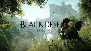 Мини-гайд по петам Black desert online.