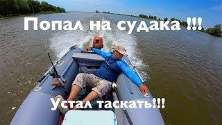 Попал на судака летом !!! Устал таскать ...!! Летняя ловля судака на джиг.