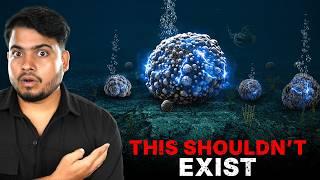 These Things Were Hidden in the Deep Ocean