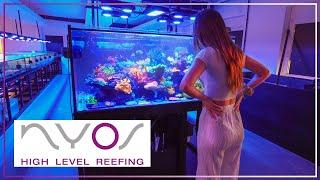 Saltwater aquarium SUPER STORE - We visit White Corals & Nyos !