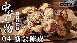 《中华风物》04 新会陈皮和普通陈皮有什么不一样？为什么价值更高？——广东美食篇【CCTV纪录】