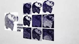 DoMore! • Deep learning & Convolutional neural networks!