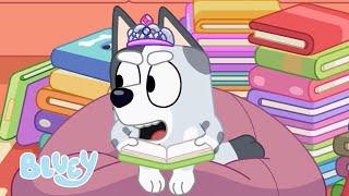 La Biblioteca | Bluey Español Canal Oficial