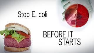 How to Stop E. coli Before It Starts