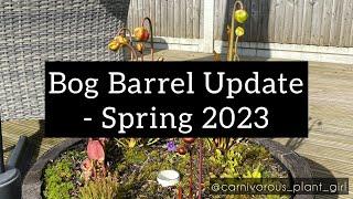 Carnivorous Plant Bog Barrel Update | Spring 2023