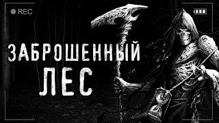 Страшные истории на ночь - ПОХОД В ЗАБРОШЕННЫЙ ЛЕС - Мистические рассказы Мистика Страшилки Scary
