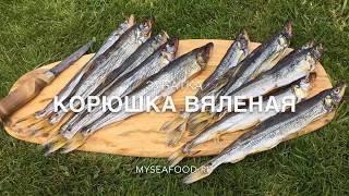 Лучшая вяленая корюшка в мире