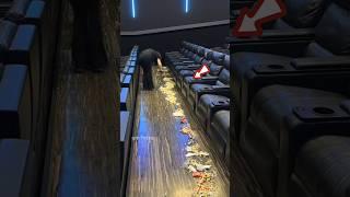 Treasure found in the trash!  #short #movie #viral
