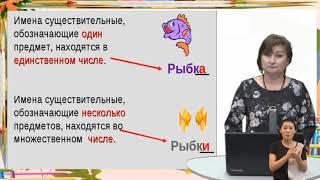 4 класс / Русский язык / Грамматические признаки имени существительного / 24.04.20