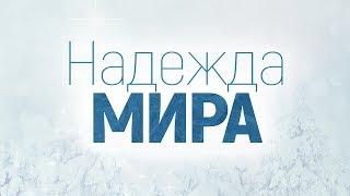 Надежда мира (Алексей Коломийцев)