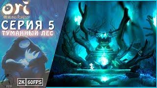 ТУМАННЫЙ ЛЕС ● Ori and the Blind Forest [PC | 2K60FPS] #5