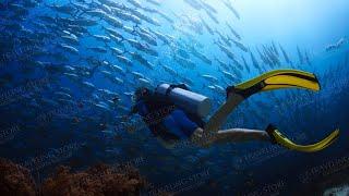 ЭКСКУРСИЯ ДАЙВИНГ В КЕМЕРЕ - EXCURSION TO DIVING IN KEMER