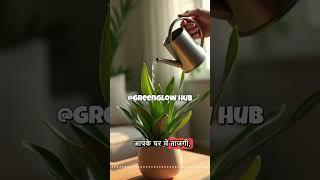 Do Plants Really Purify Air? NASA’s Shocking Study!  #shorts