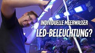 MEERWASSER-LED individuell gestalten? - Wir testen die DAYTIME MATRIX LED *PlanktonPlus Aquaristik*