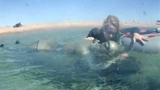 Hannah's 4.10 static in Dahab