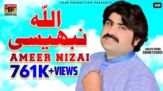 Allah Nibhesi Mediyan - Ameer Niazi Pai Khelvi - امیر نیازی پائی خیلوی- New Saraiki  Song - TP Gold