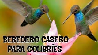 Como Hacer un Bebedero Para Colibríes Super Fácil