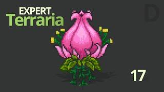 Террария прохождение. Плантера эксперт. Как убить плантеру в террарии?  [ Terraria 1.3 ] #17