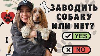 ПОЧЕМУ НЕ СТОИТ ЗАВОДИТЬ СОБАКУ | МИНУСЫ