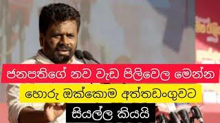 ජනපතිගේ නව වැඩපිලිවෙල , හොරුන්ට රටින් පැනල යන්න දෙන්නෙ නෑ | #anurakumaradissanayake