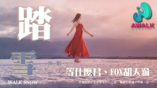 等什么君(邓寓君) / FOX胡天渝 - 踏雪『飞鸿起踏破云烟万水千山之间，餐霜饮雪铸十年磨一剑。』【动态歌词 | Pinyin Lyrics】【一月新歌】【AWALK MUSIC】