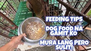 Vlog 18: FEEDING ROUTINE | BELGIAN MALINOIS | FEEDING TIPS | TAGALOG