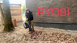 Обзор Пылесоса-воздуходувки электрической Ryobi RBV3000CESV